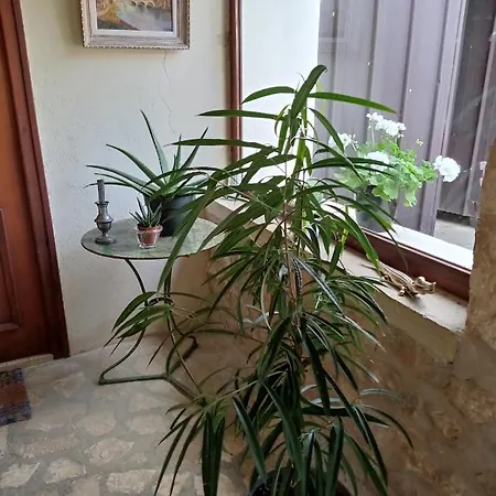 Maison De Famille